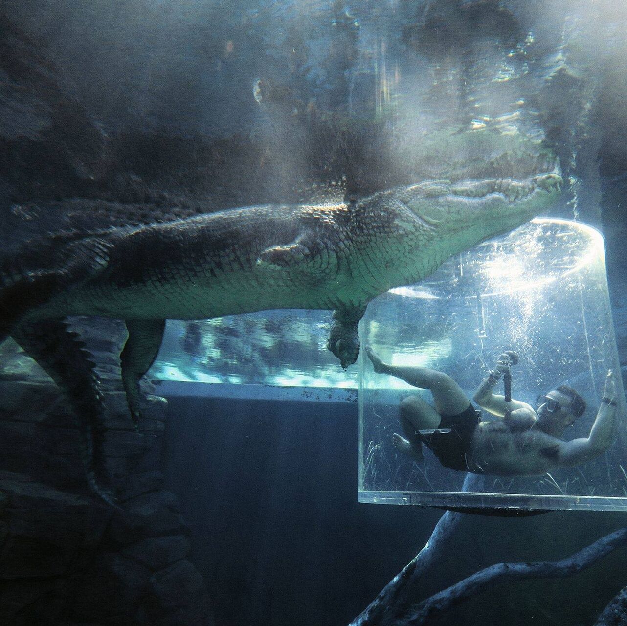 Crocosaurus Cove