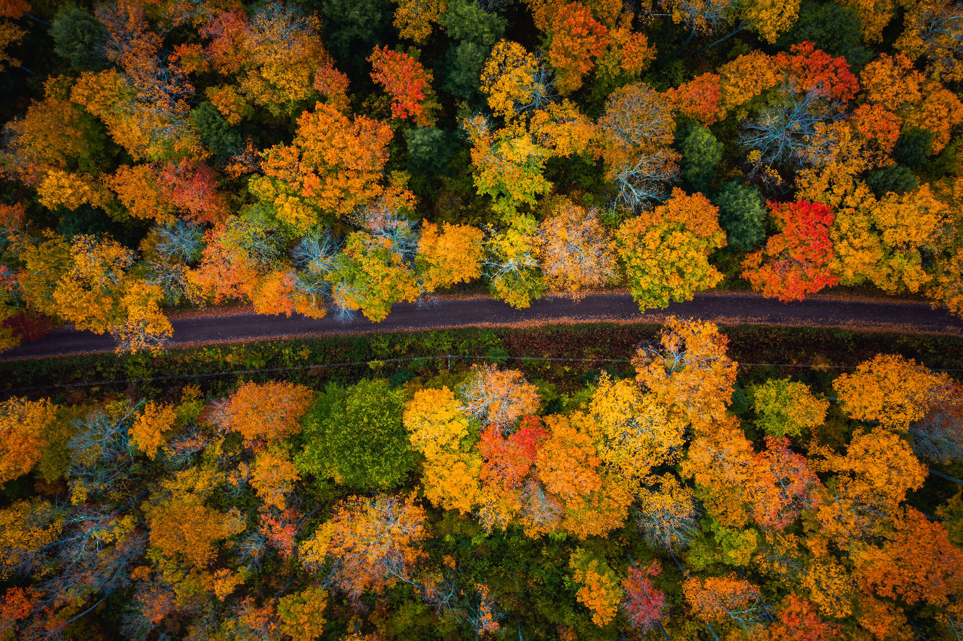Michigan Fall