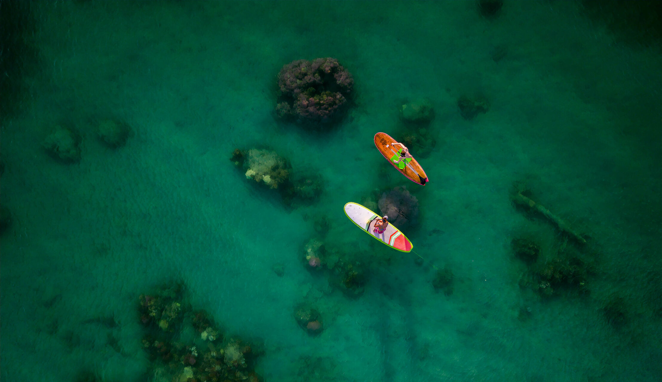 Paddle Boarding Bocas del Toro