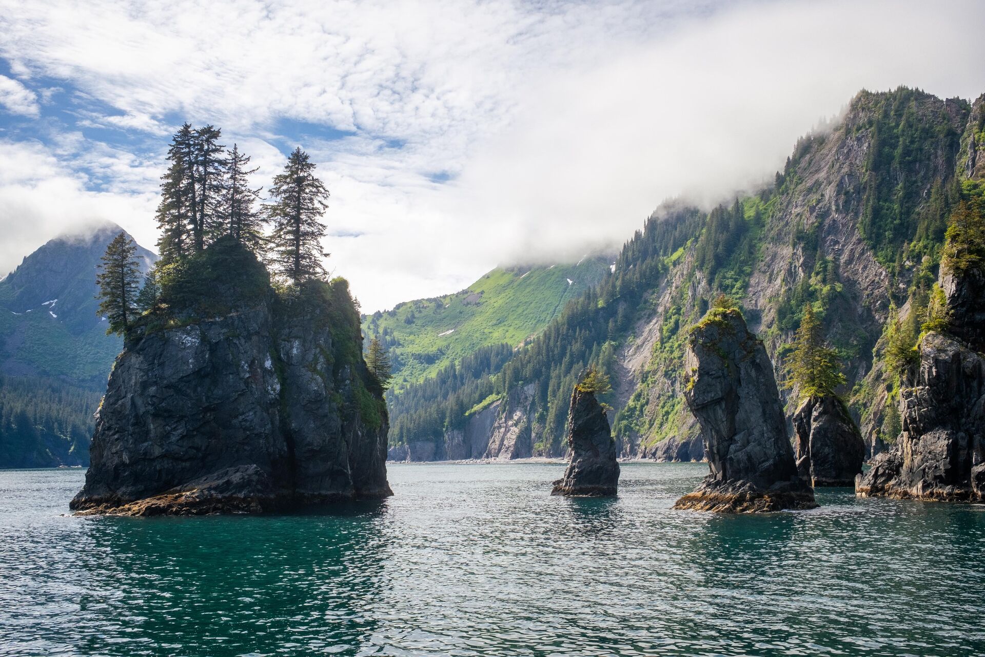 Kenai Fjords Alaska