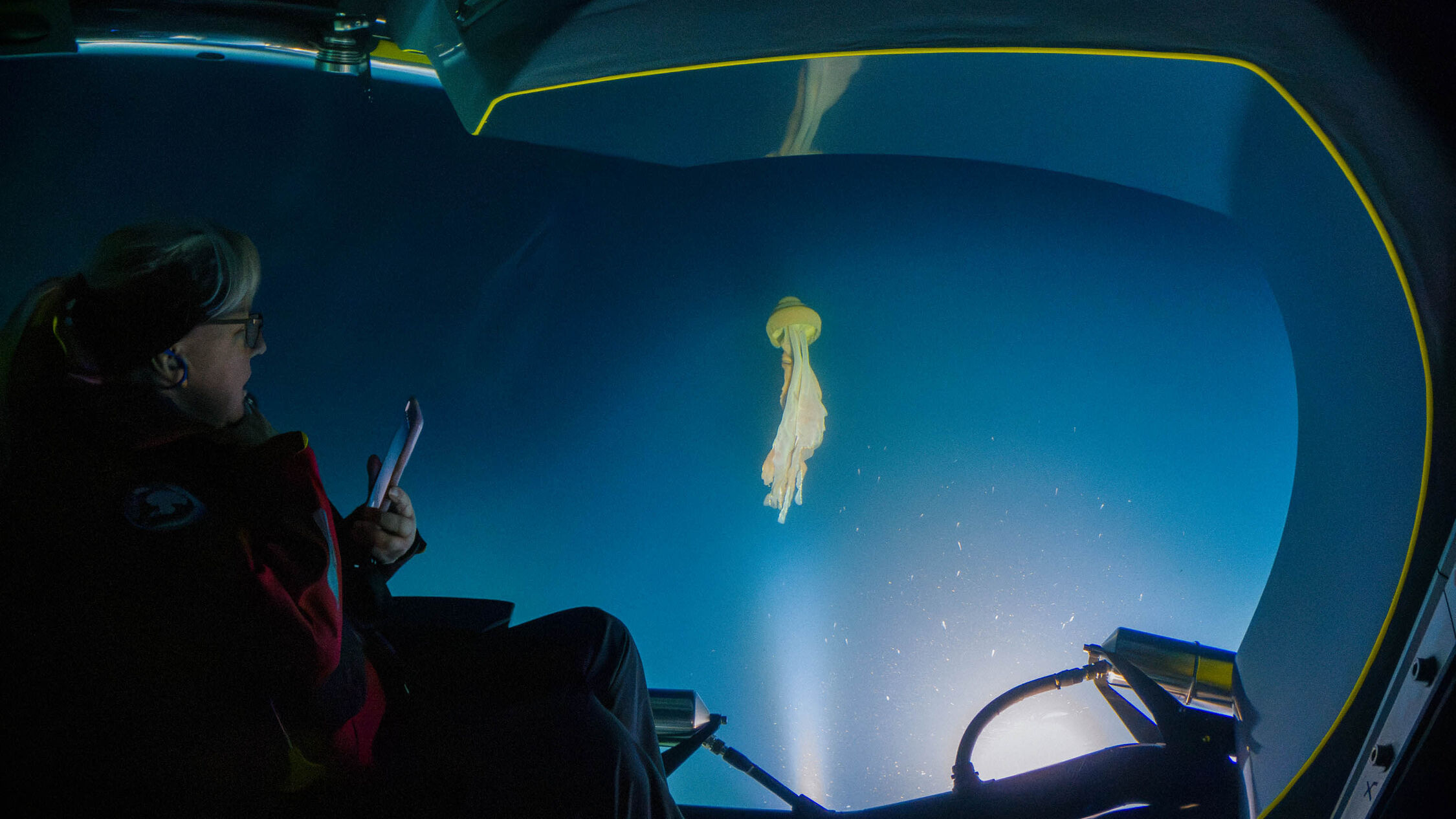 Viking Submarine Antarctica