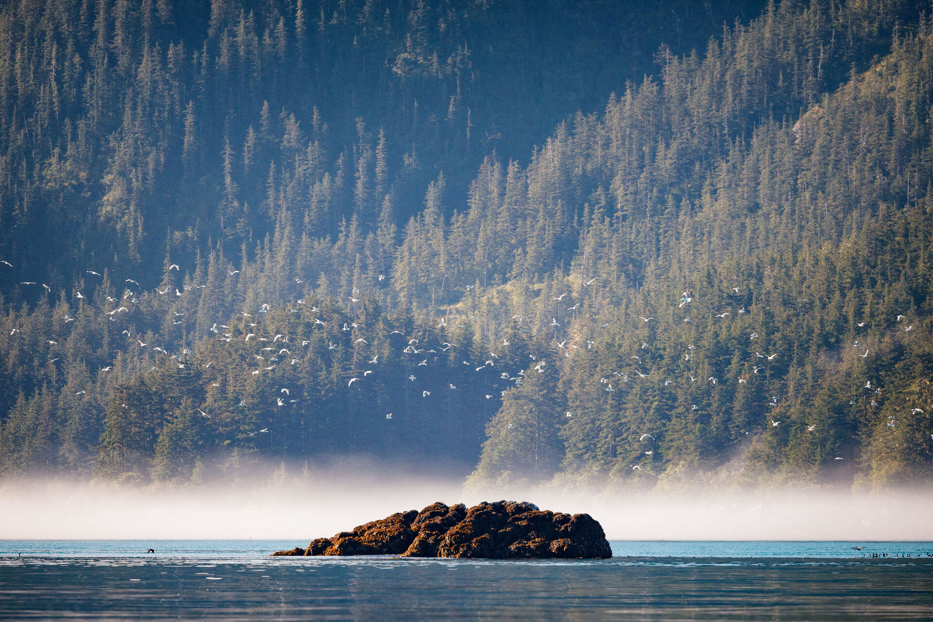alaska cruise