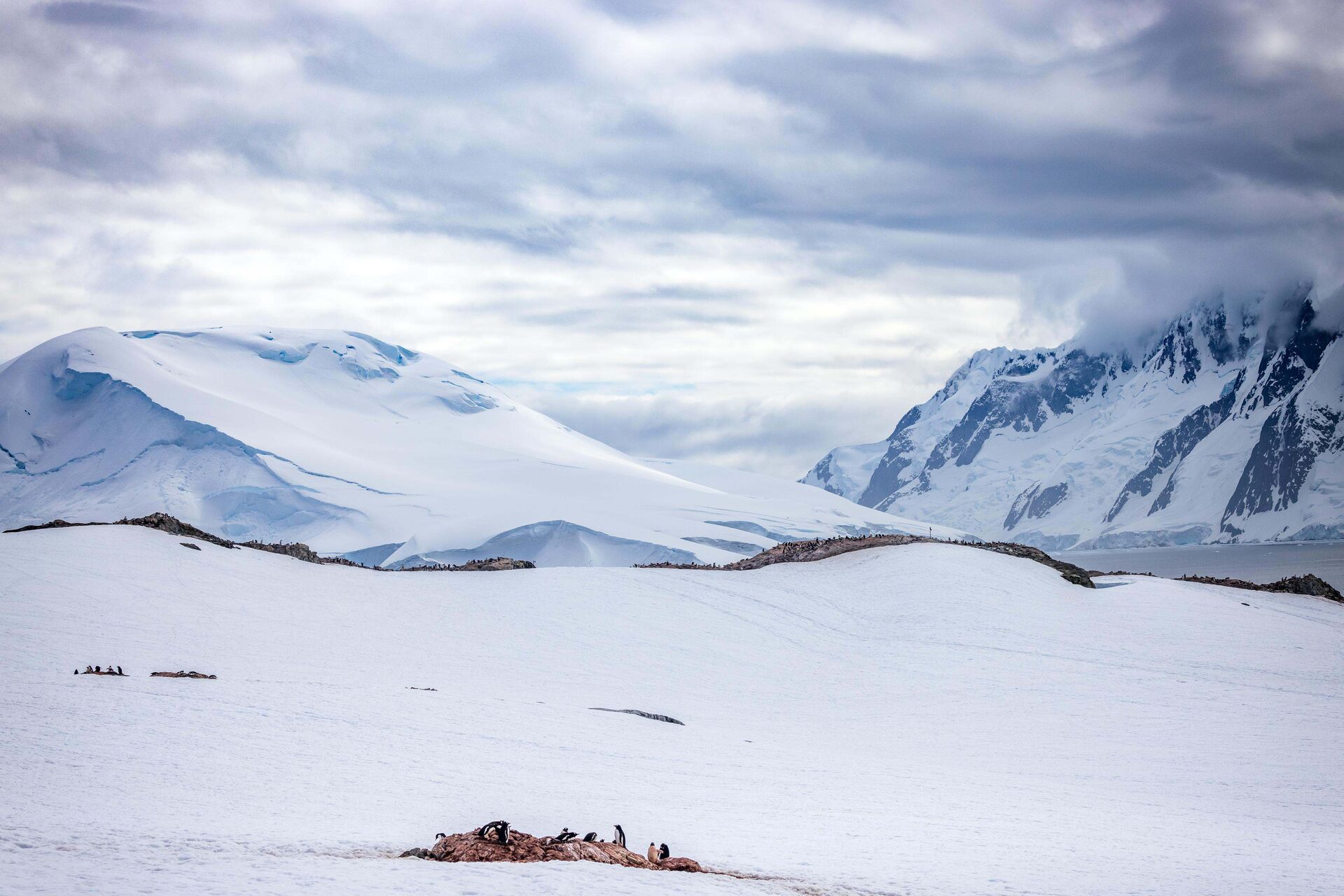 Antarctica