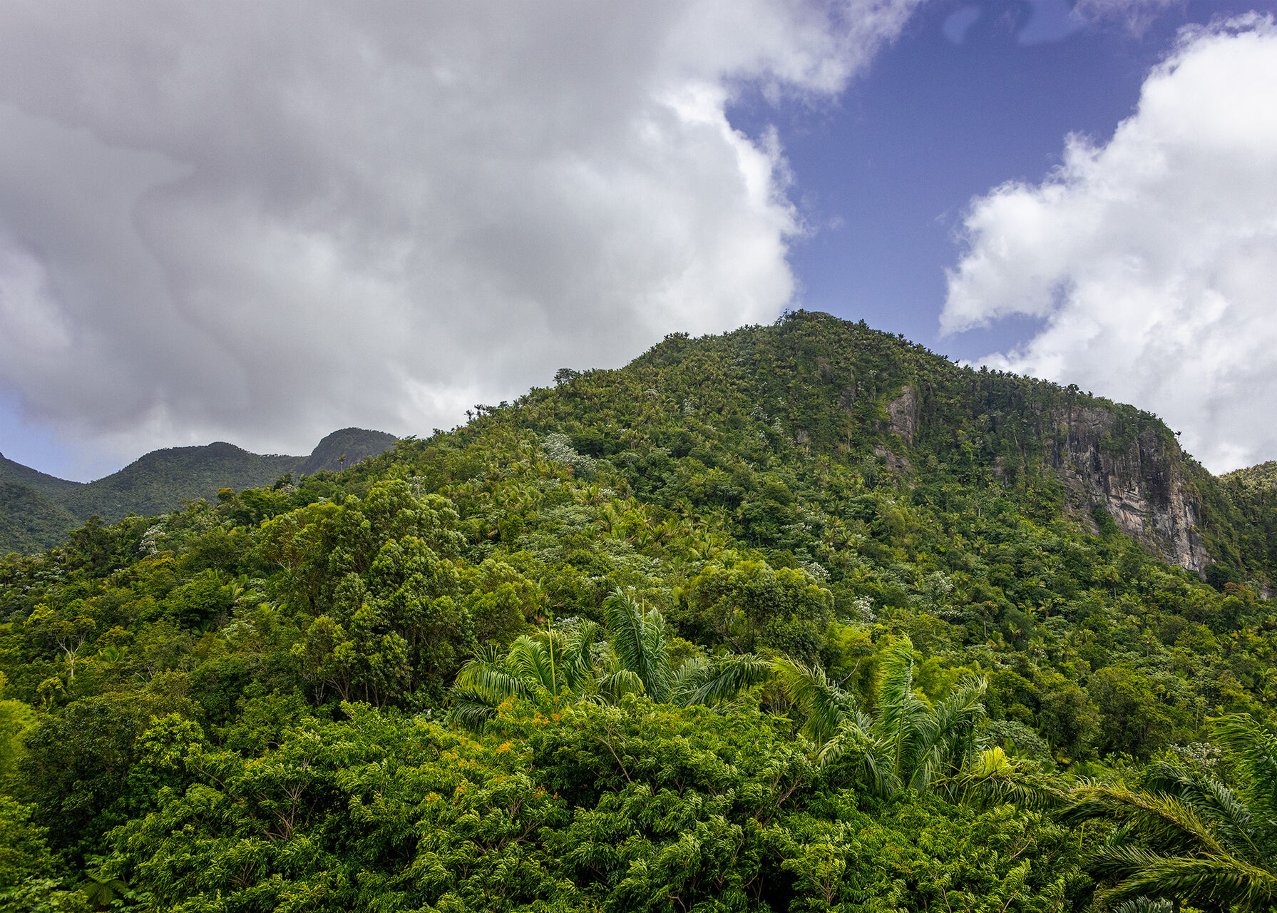 El Yunque National