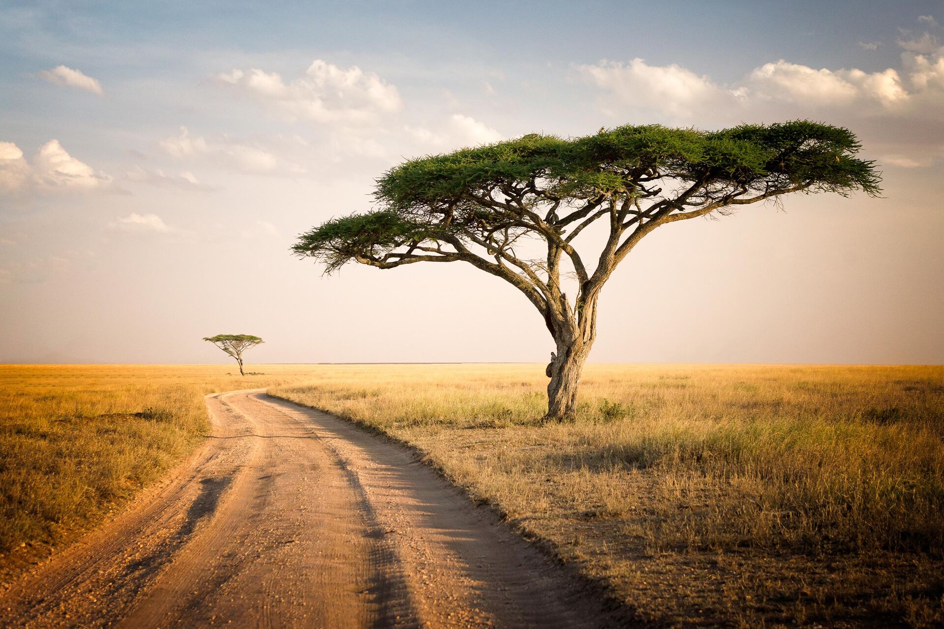 A journey across Africa 