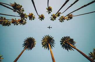 More flights to warm destinations this winter