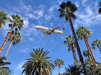 Tropical Airport