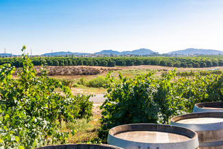 Temecula California