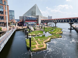 The Harbor Wetland exhibit.