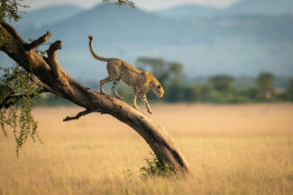 A journey across Africa 