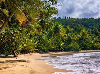 Dominica