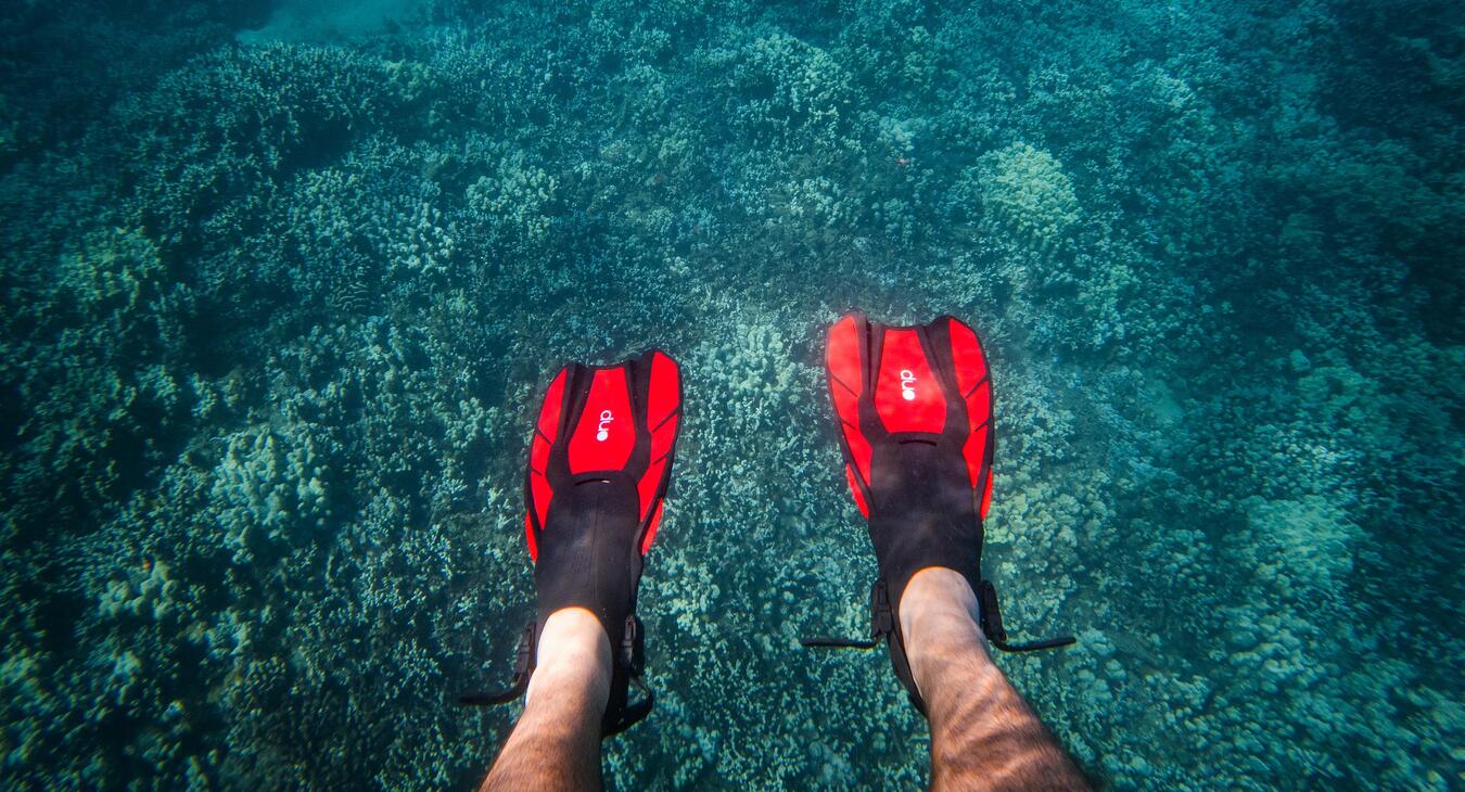 DUO Travel Fins