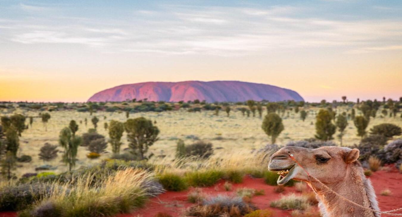 Australia