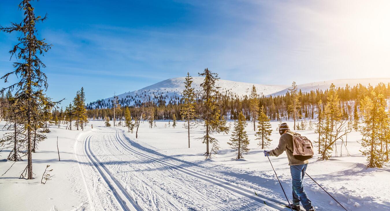 FInland Ski