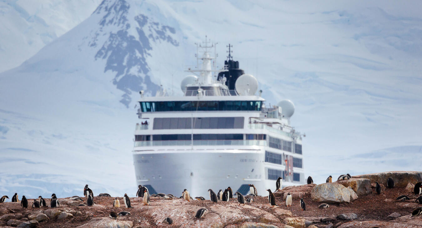 Viking Polaris Antarctica