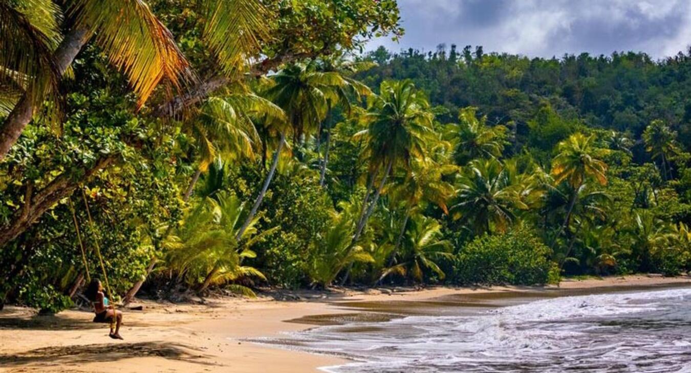 Dominica