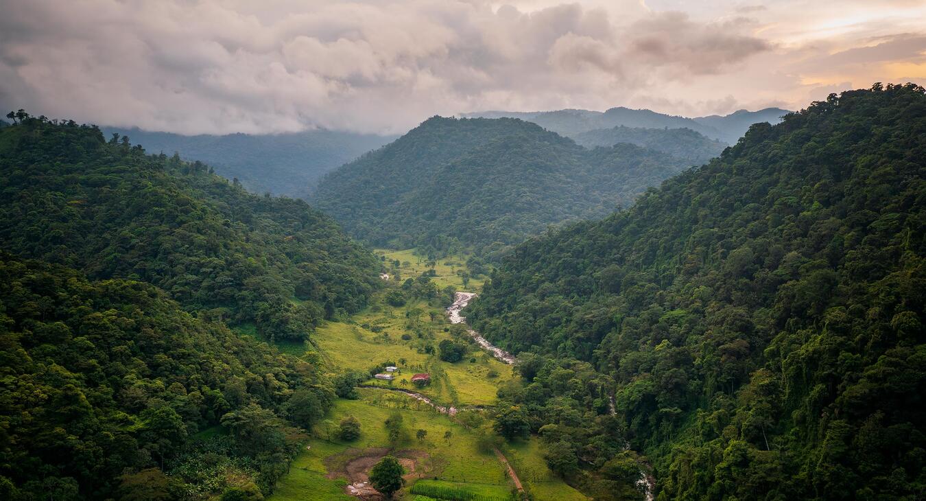 Rancho Margot