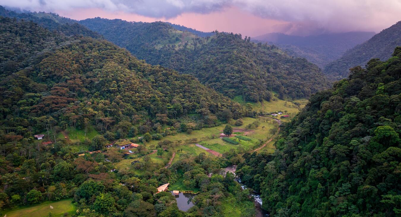 Rancho Margot